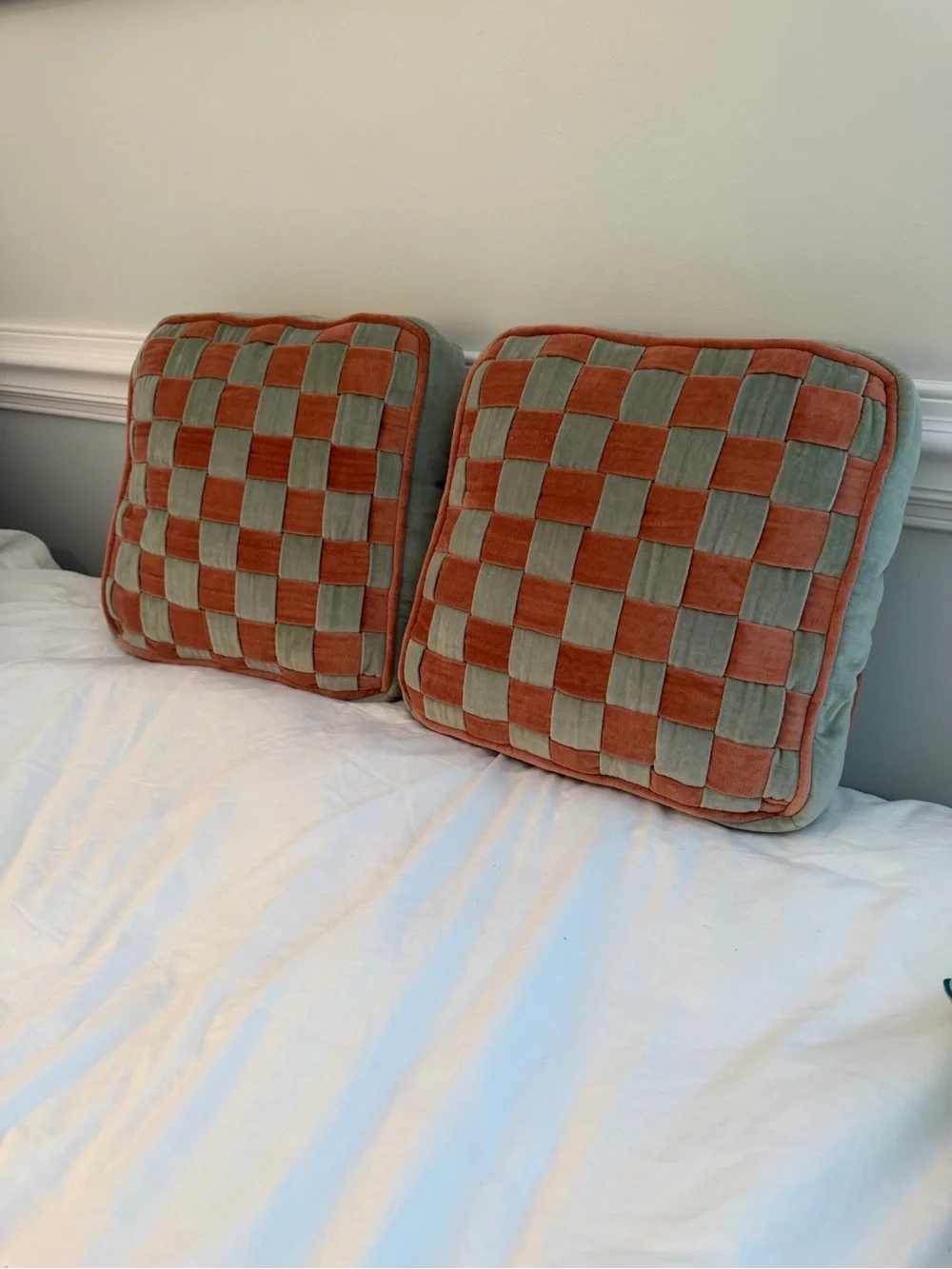 Crate & Barrel Harriet Velvet Square Pillow - A Pair